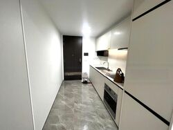 Shunfu Road (D20), Condominium #467850401